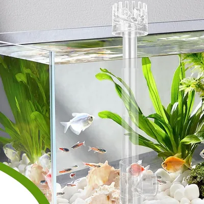 ZooVenture Éliminateur d'huile pour aquarium