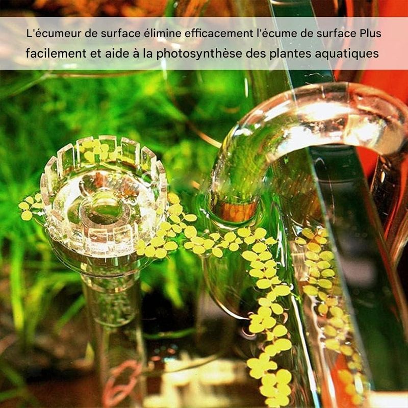 ZooVenture Skimmer d'eau pour aquarium