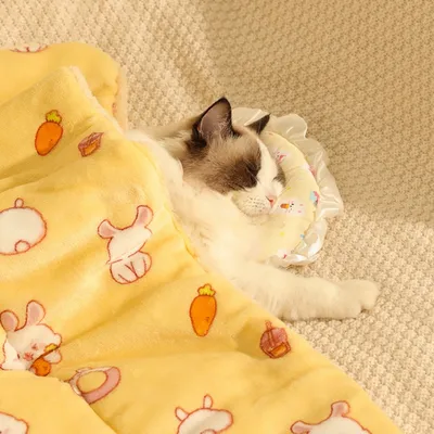 FurryFusion Couvertures d'hiver pour chats et chiens