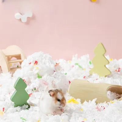IntiMeg Petit coussin pour hamster