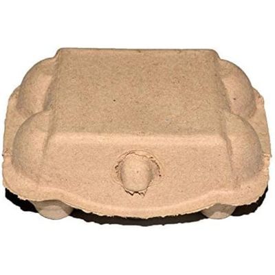 ZooVenture Cajas de huevos biodegradables para aves de compañía