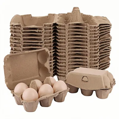 ZooVenture Boîtes à œufs biodégradables pour oiseaux domestiques
