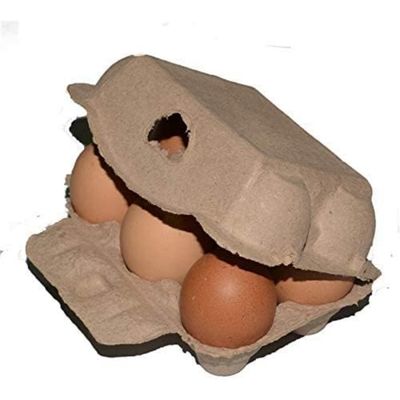 ZooVenture Cajas de huevos biodegradables para aves de compañía