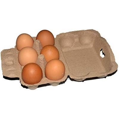 ZooVenture Cajas de huevos biodegradables para aves de compañía