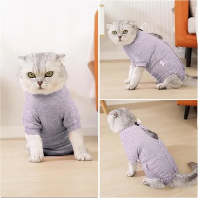 IntiMeg Body für Katzen nach Operationen IntiMeg Body für Katzen nach Operationen