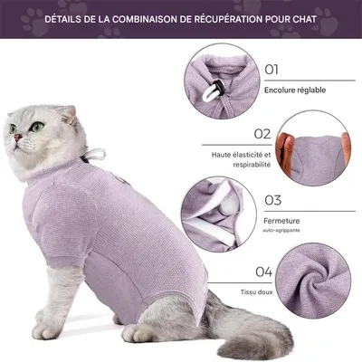 IntiMeg Body für Katzen nach Operationen IntiMeg Body für Katzen nach Operationen