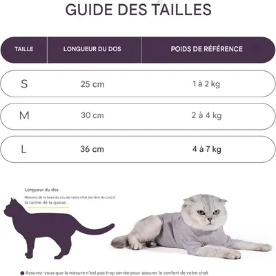 IntiMeg Body für Katzen nach Operationen IntiMeg Body für Katzen nach Operationen