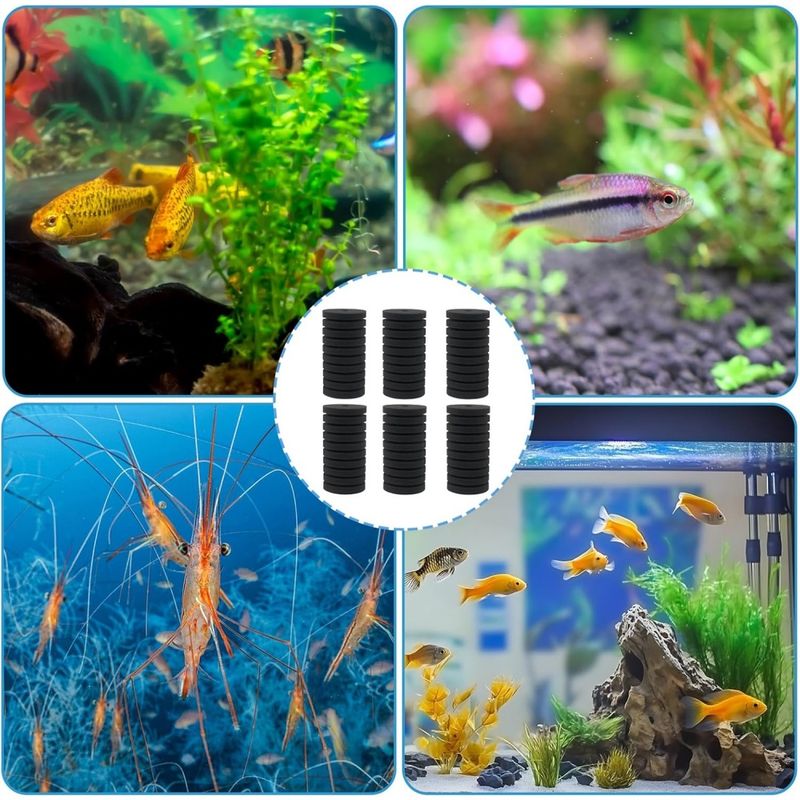 ZooVenture Lot de 2 filtres éponge pour aquarium