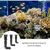 ZooVenture Buse bec canard aquarium