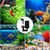 ZooVenture Lot de 2 filtres éponge pour aquarium