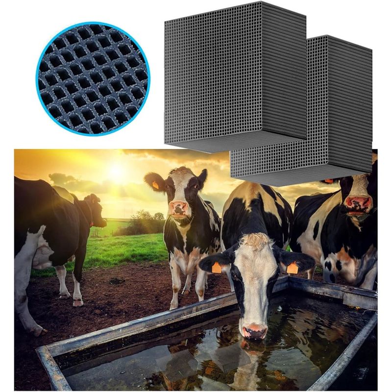 ZooVenture Filtre à charbon pour aquarium
