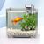 ZooVenture Filtre d'aquarium pour poissons