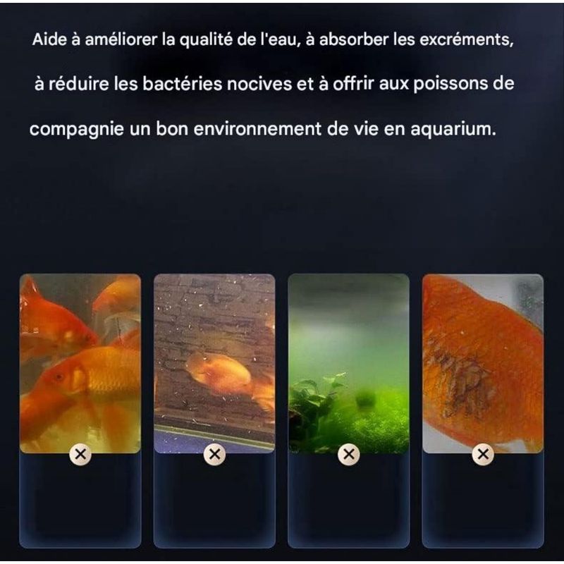 ZooVenture Blocs filtrants en céramique pour aquarium