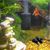 ZooVenture Rouleau d'éponge filtre pour aquarium