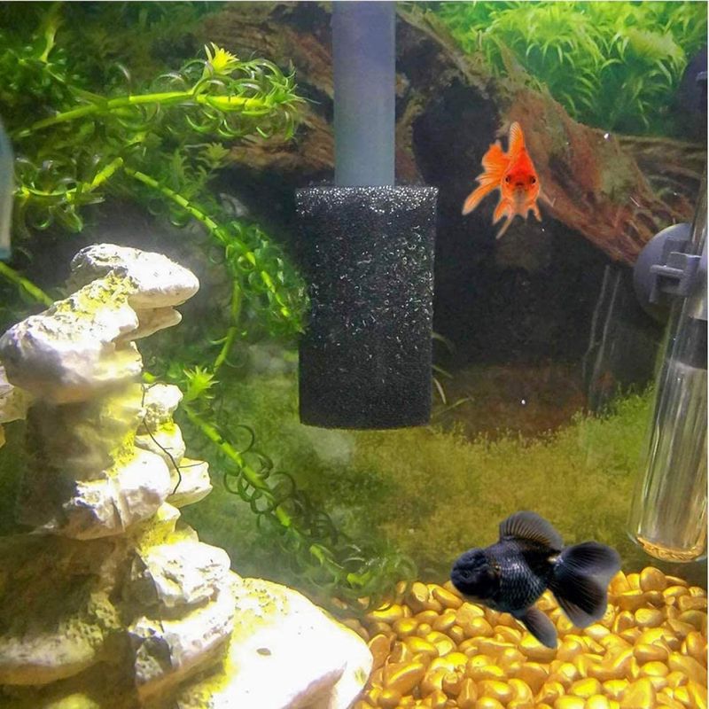 ZooVenture Rouleau d'éponge filtre pour aquarium