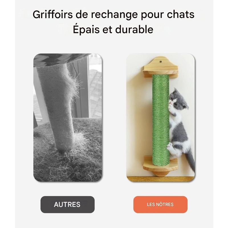 IntiMeg Lot de 3 Griffoir naturel M8