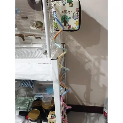 ZooVenture Juguete para pájaros de cuerda de algodón en espiral flexible