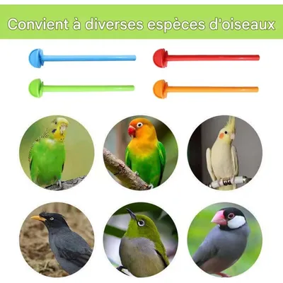 ZooVenture Lot de 8 perchoirs universels en plastique pour oiseaux ZooVenture Lot de 8 perchoirs universels en plastique pour oiseaux