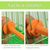 ZooVenture Lot de 8 perchoirs universels en plastique pour oiseaux