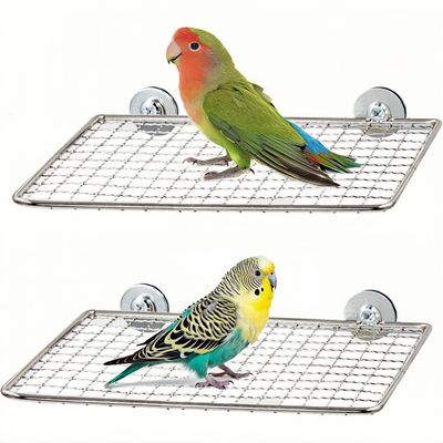 ZooVenture Table de perchoir pour perroquets