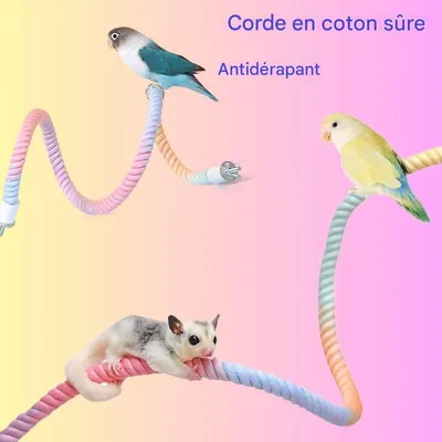 ZooVenture Corde spirale flexible en coton jouet pour oiseaux