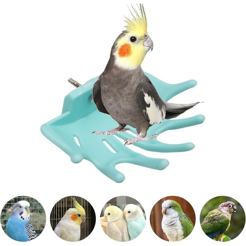 ZooVenture Lot de 3 perchoirs pour cage d'oiseaux