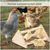 ZooVenture Perchoir pour perroquets et oiseaux
