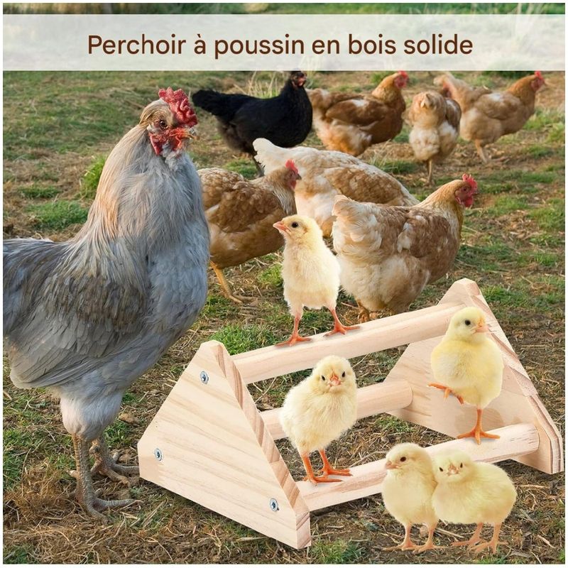 ZooVenture Perchoir pour perroquets et oiseaux