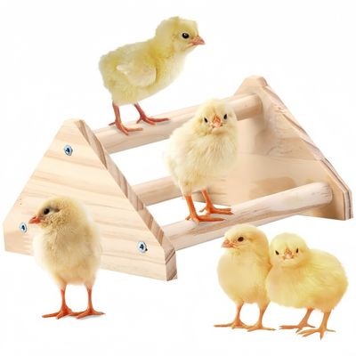 ZooVenture Perchoir pour perroquets et oiseaux