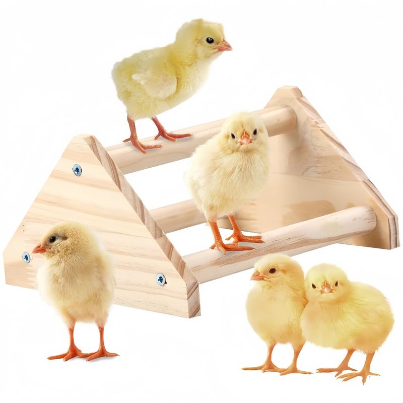 ZooVenture Perchoir pour perroquets et oiseaux