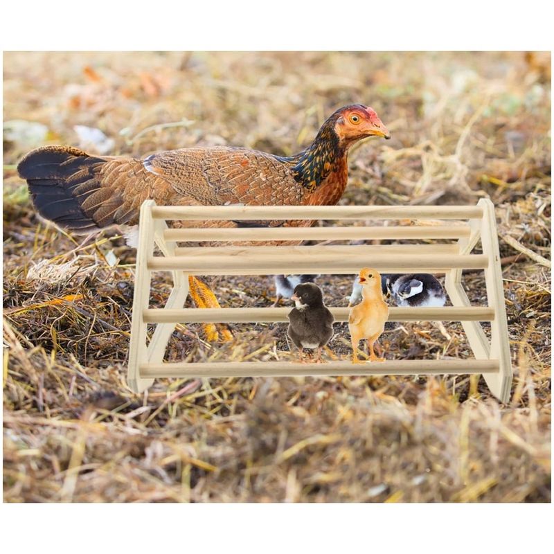 ZooVenture Perchoir pour perroquets et oiseaux