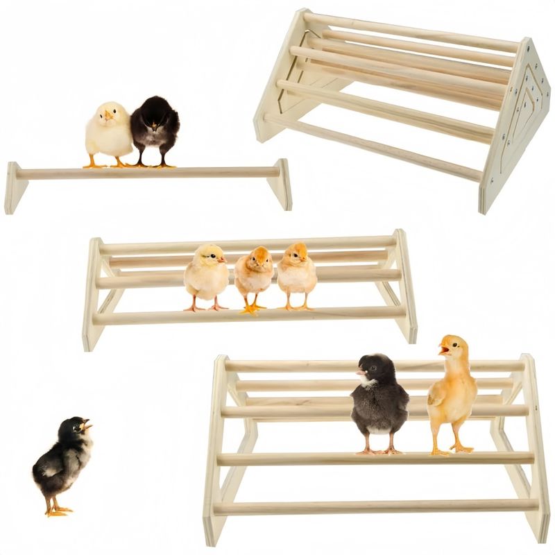 ZooVenture Perchoir pour perroquets et oiseaux