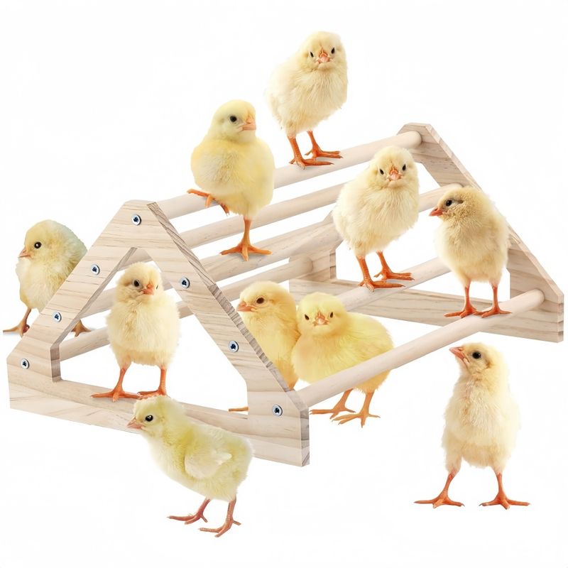 ZooVenture Perchoir pour perroquets et oiseaux