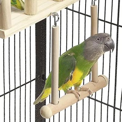ZooVenture Aire de jeu en bois pour perroquets