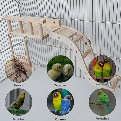 ZooVenture Aire de jeu en bois pour perroquets