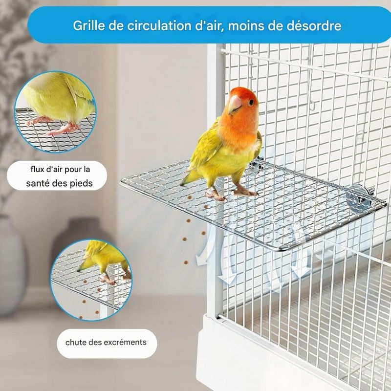 ZooVenture Table de perchoir pour perroquets