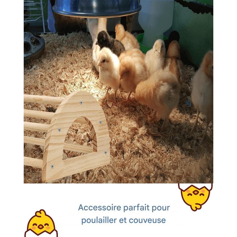 ZooVenture Perchoir stable et adapté aux habitudes naturelles pour Oiseaux