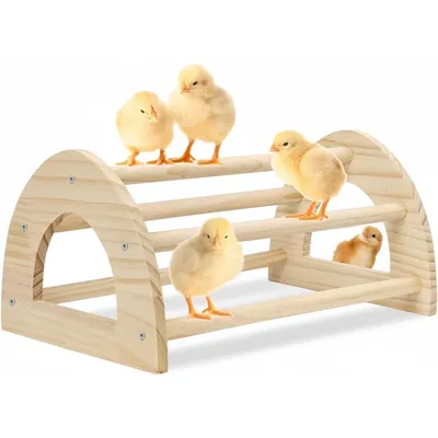 ZooVenture Perchoir en bois pour poules et poulailler