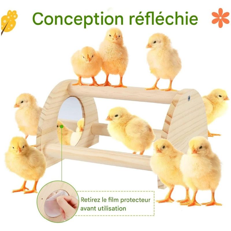 ZooVenture Perchoir en bois pour poules et poulailler
