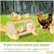 ZooVenture Perchoir en bois pour poules et poulailler