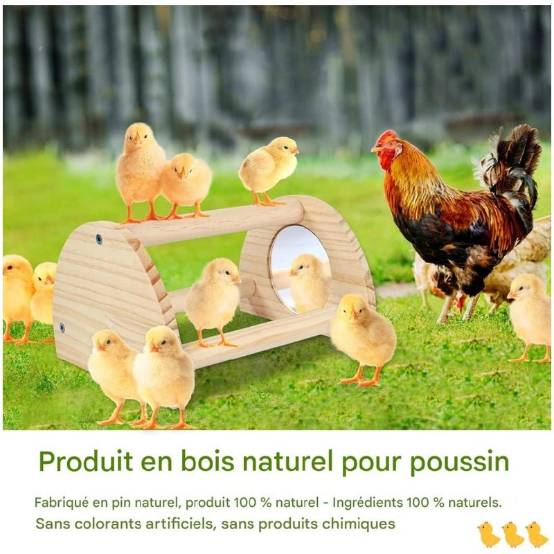 ZooVenture Perchoir en bois pour poules et poulailler