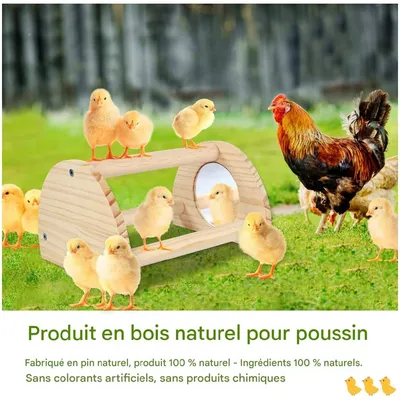 ZooVenture Perchoir en bois pour poules et poulailler