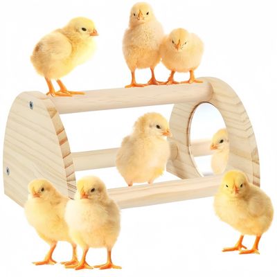 ZooVenture Perchoir en bois pour poules et poulailler