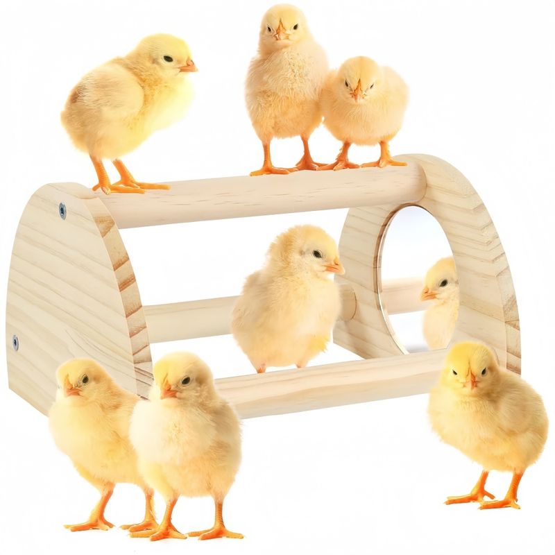 ZooVenture Perchoir en bois pour poules et poulailler