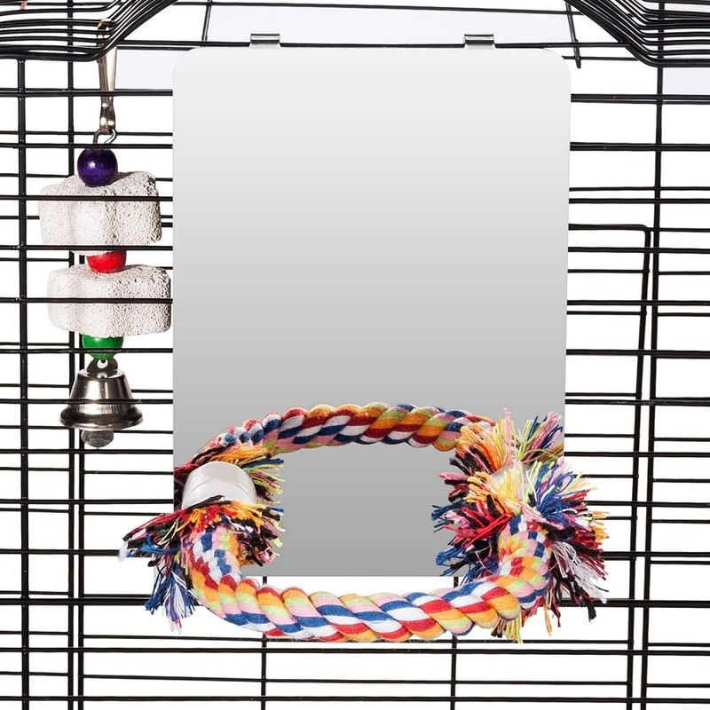 ZooVenture Miroir et jouets pour oiseaux