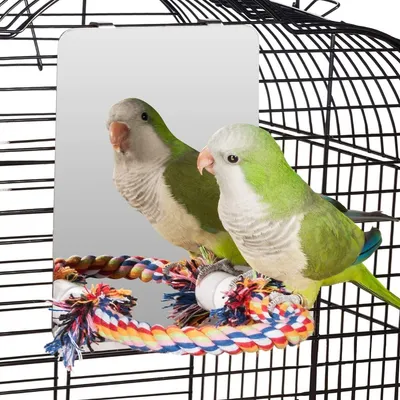 ZooVenture Espejo y juguetes para pájaros