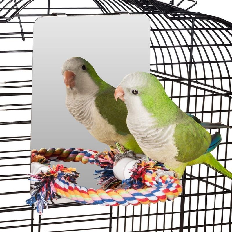 ZooVenture Miroir et jouets pour oiseaux