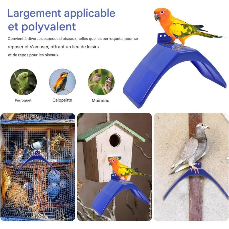 ZooVenture Lot de 20 supports pour pigeons