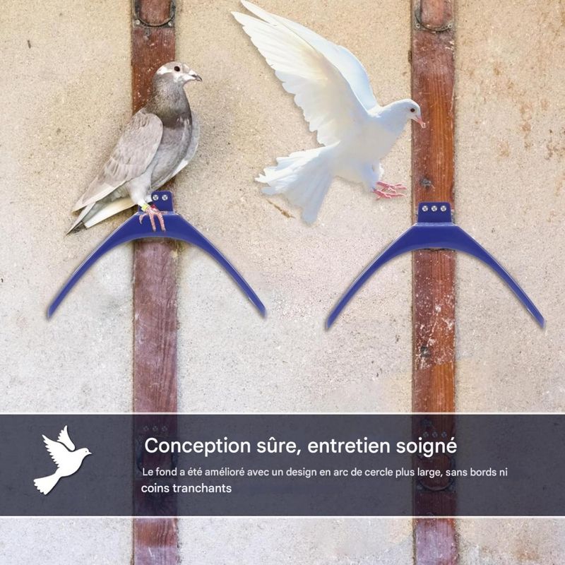ZooVenture Lot de 20 supports pour pigeons
