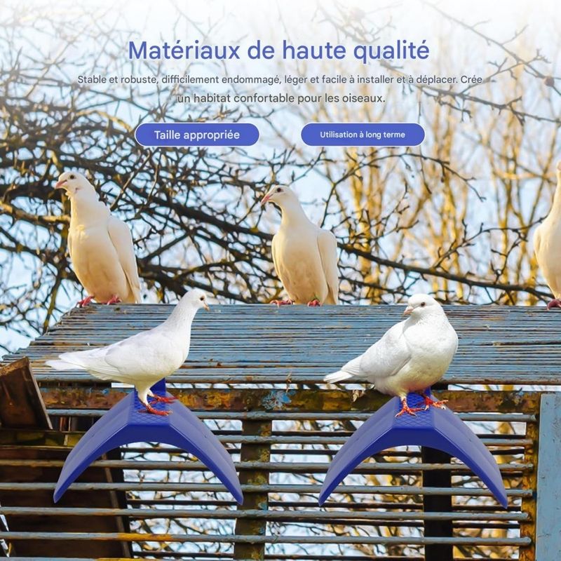 ZooVenture Lot de 20 supports pour pigeons